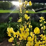 Maly Czar 度假居 Czarnow (Kamienna Gora)