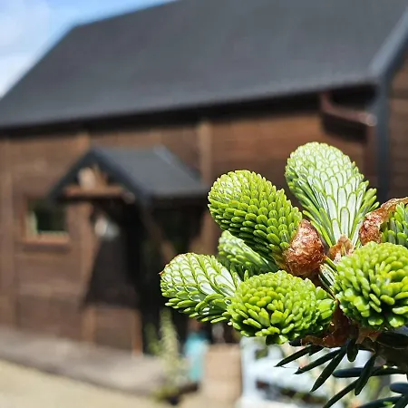 Maly Czar * Czarnow (Kamienna Gora)