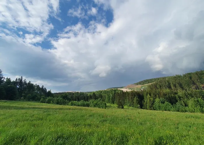 Holiday home Maly Czar