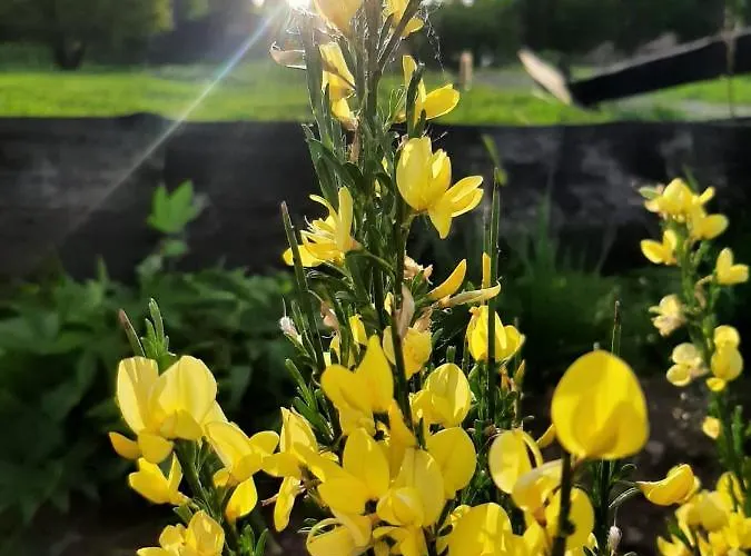 Maly Czar Holiday home Czarnow (Kamienna Gora)