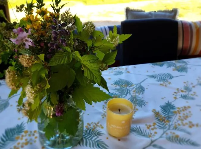 Maly Czar Holiday home