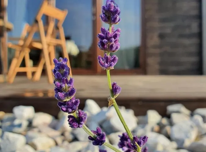 Holiday home Maly Czar *