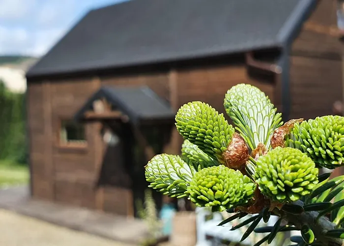 Maly Czar * Czarnow (Kamienna Gora)